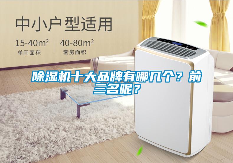 除濕機十大品牌有哪幾個?前三名呢?