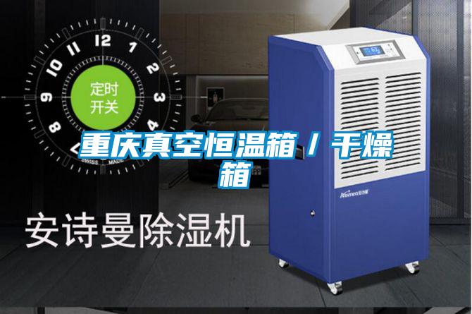 重慶真空恒溫箱/干燥箱
