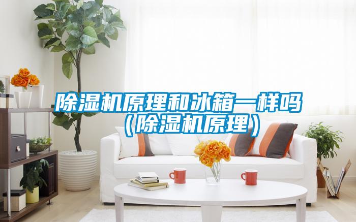 除濕機原理和冰箱一樣嗎(除濕機原理)