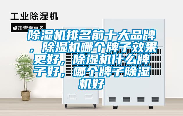 除濕機排名前十大品牌,除濕機哪個牌子效果更好,除濕機什么牌子好,哪個牌子除濕機好
