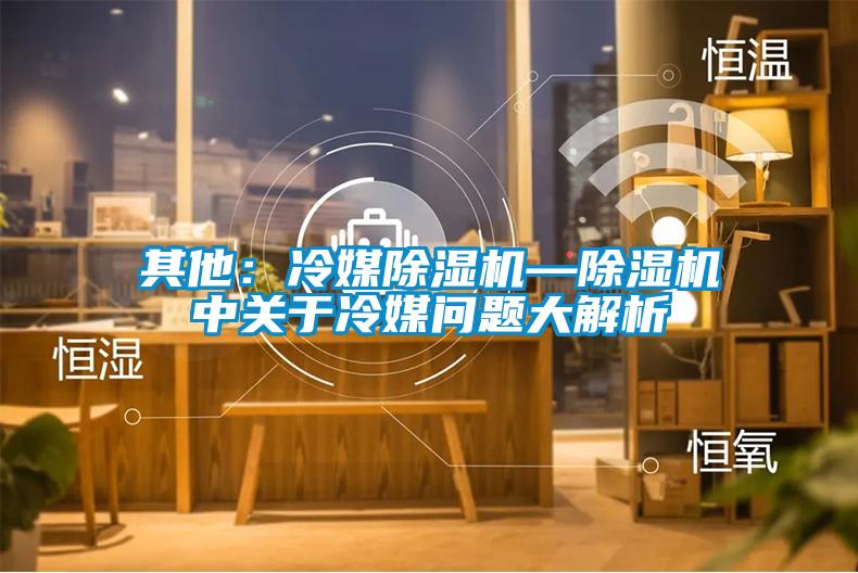 其他:冷媒除濕機(jī)—除濕機(jī)中關(guān)于冷媒問題大解析