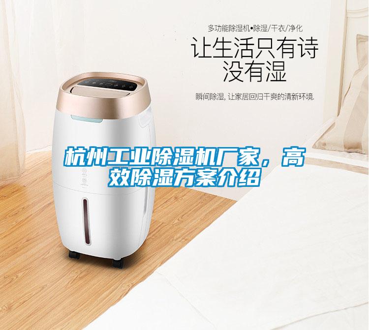 杭州工業除濕機廠家，高效除濕方案介紹