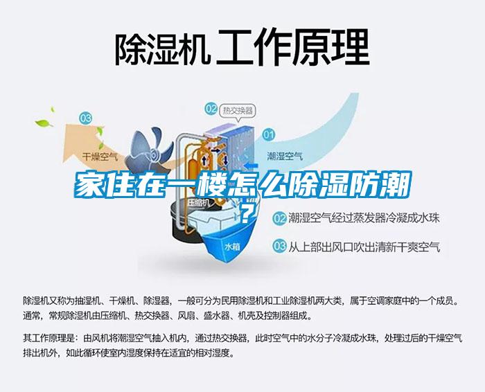 家住在一樓怎么除濕防潮?