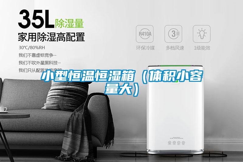 小型恒溫恒濕箱(體積小容量大)