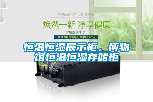 恒溫恒濕展示柜,博物館恒溫恒濕存儲柜
