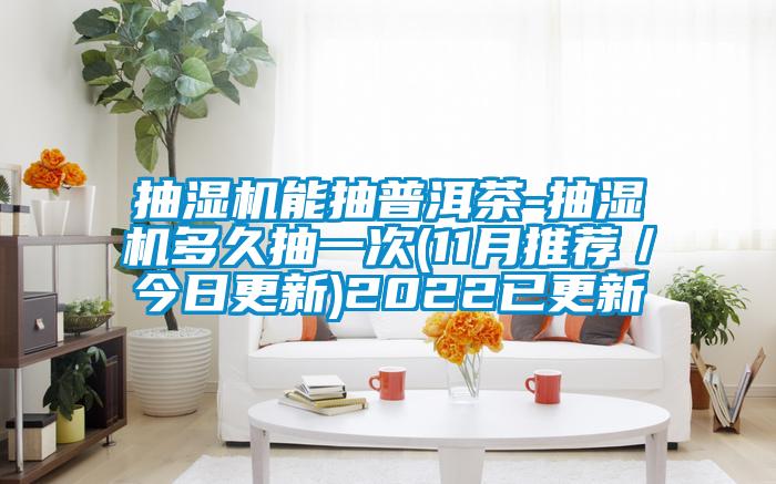 抽濕機能抽普洱茶-抽濕機多久抽一次(11月推薦/今日更新)2022已更新