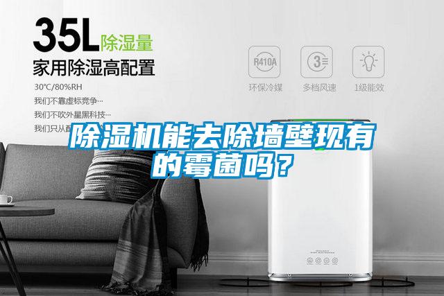 除濕機能去除墻壁現有的霉菌嗎?