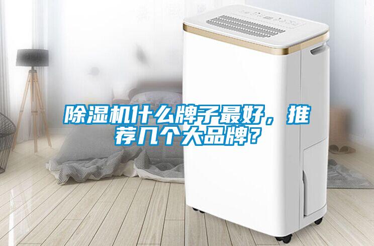 除濕機(jī)什么牌子最好,推薦幾個(gè)大品牌?