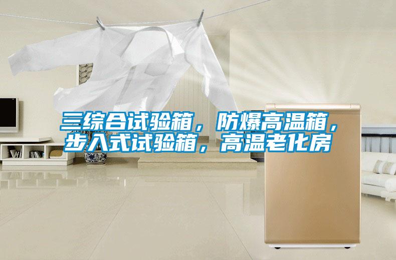 三綜合試驗(yàn)箱,防爆高溫箱,步入式試驗(yàn)箱,高溫老化房