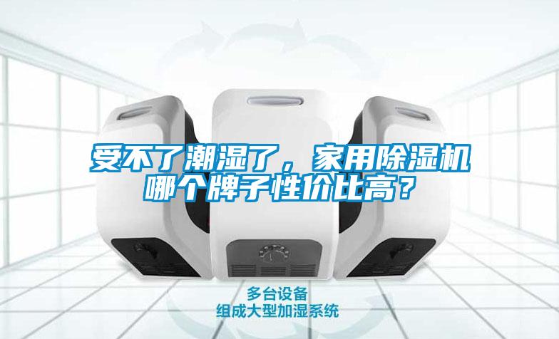 受不了潮濕了，家用除濕機(jī)哪個(gè)牌子性?xún)r(jià)比高？