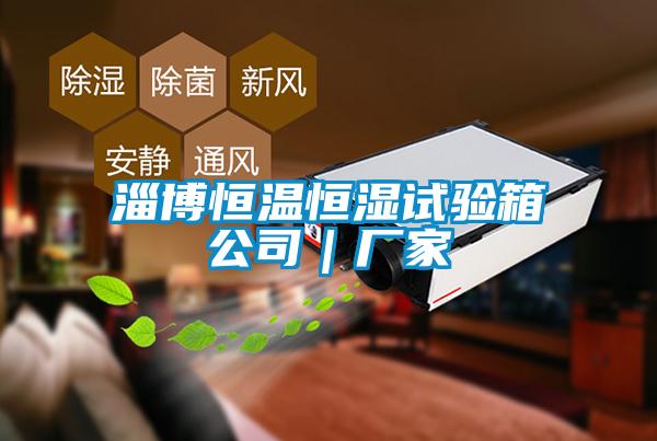 淄博恒溫恒濕試驗箱公司|廠家