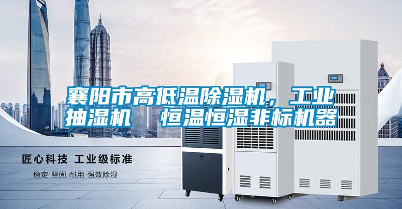 襄陽(yáng)市高低溫除濕機(jī),工業(yè)抽濕機(jī)  恒溫恒濕非標(biāo)機(jī)器