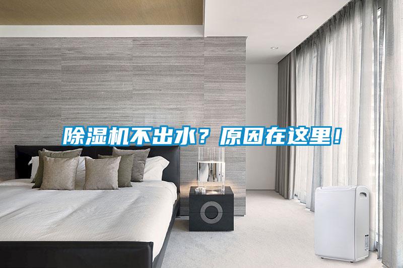 除濕機不出水?原因在這里!