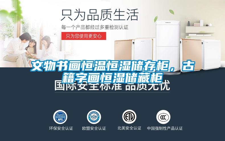 文物書畫恒溫恒濕儲存柜,古籍字畫恒濕儲藏柜
