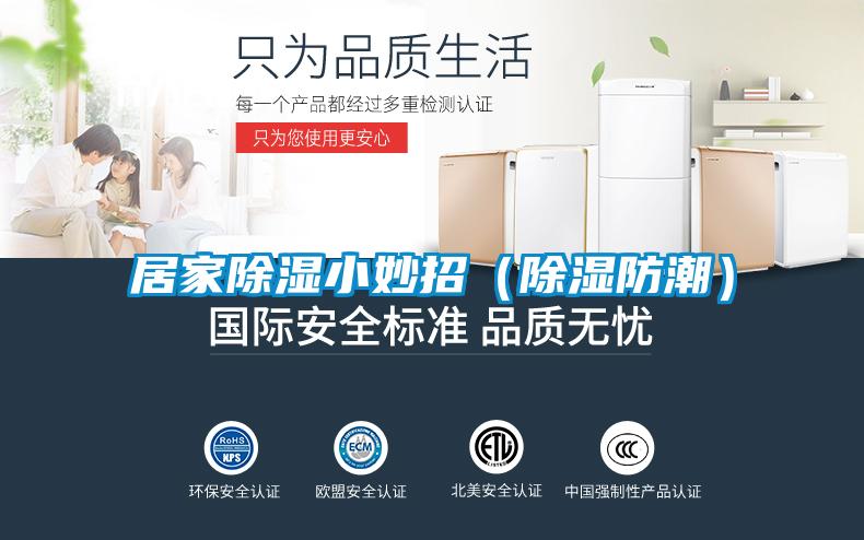 居家除濕小妙招(除濕防潮)