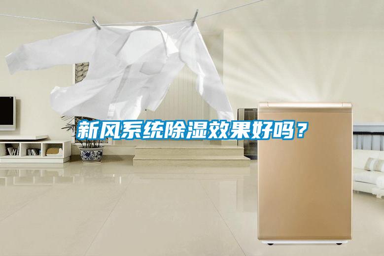 新風系統除濕效果好嗎?