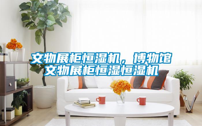 文物展柜恒濕機,博物館文物展柜恒濕恒濕機
