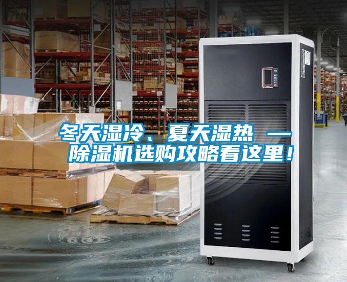 冬天濕冷、夏天濕熱 — 除濕機選購攻略看這里！