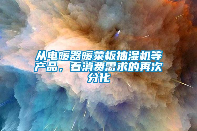 從電暖器暖菜板抽濕機等產(chǎn)品,看消費需求的再次分化