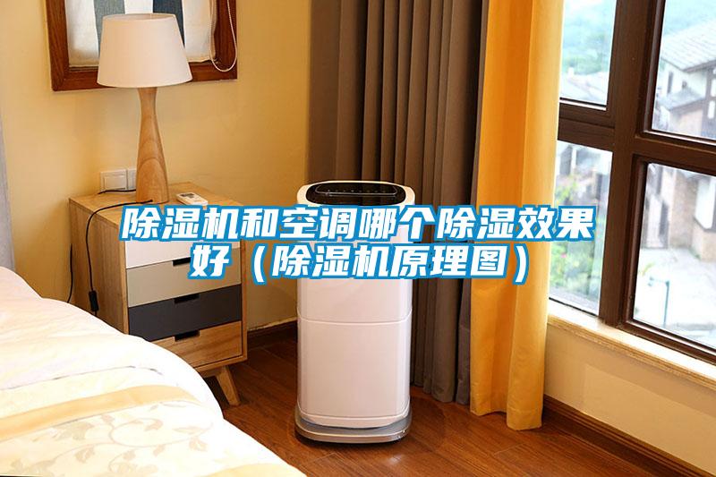 除濕機(jī)和空調(diào)哪個(gè)除濕效果好(除濕機(jī)原理圖)