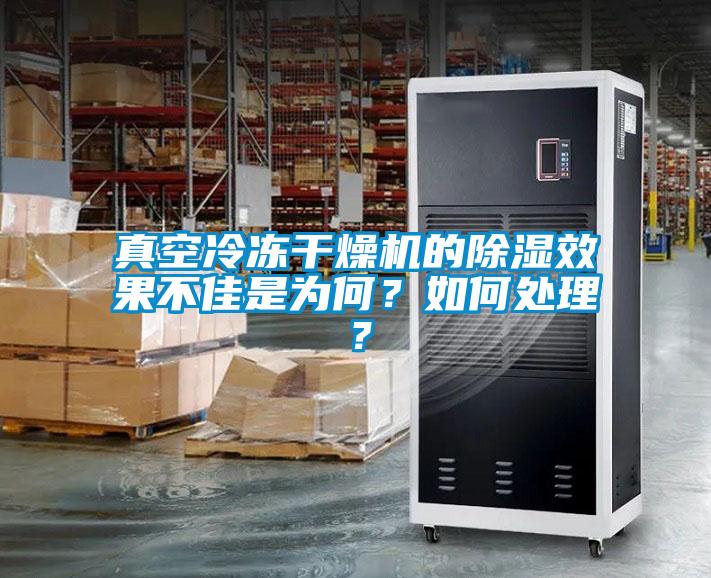 真空冷凍干燥機的除濕效果不佳是為何?如何處理?