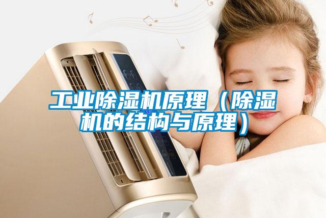 工業除濕機原理(除濕機的結構與原理)