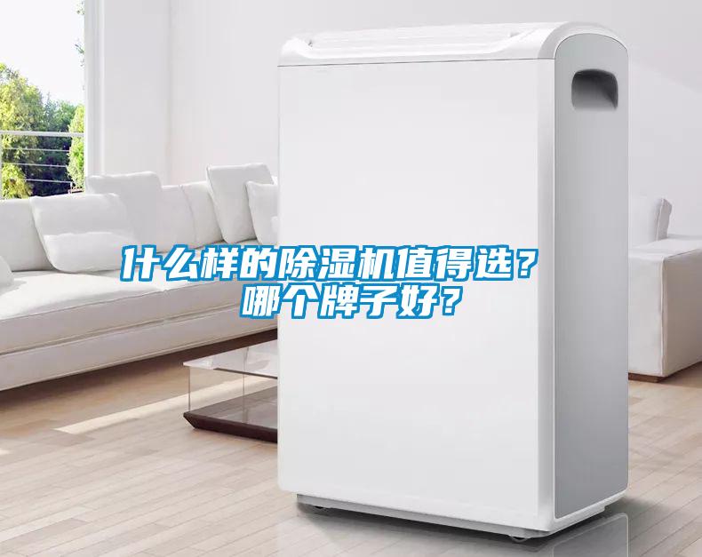 什么樣的除濕機值得選? 哪個牌子好?