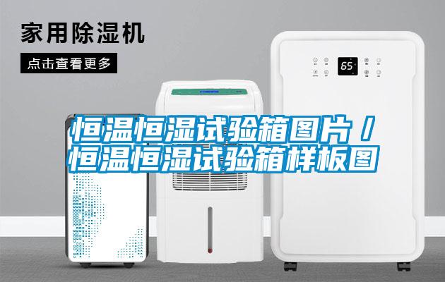 恒溫恒濕試驗(yàn)箱圖片/恒溫恒濕試驗(yàn)箱樣板圖