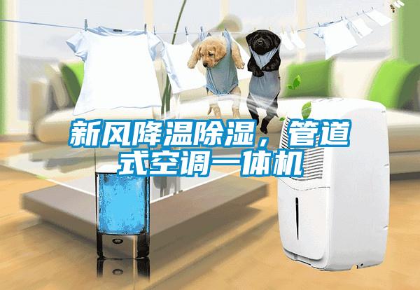 新風降溫除濕,管道式空調(diào)一體機