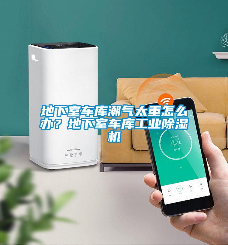 地下室車庫潮氣太重怎么辦?地下室車庫工業(yè)除濕機