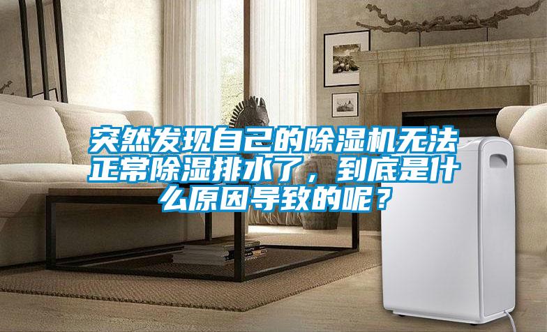 突然發現自己的除濕機無法正常除濕排水了,到底是什么原因導致的呢?