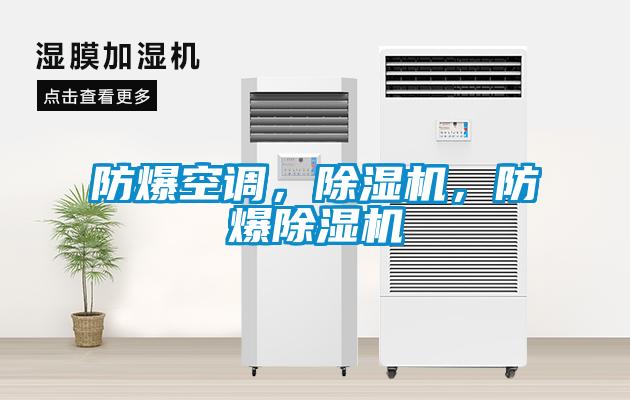 防爆空調(diào),除濕機(jī),防爆除濕機(jī)