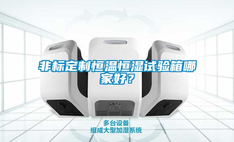 非標(biāo)定制恒溫恒濕試驗箱哪家好?