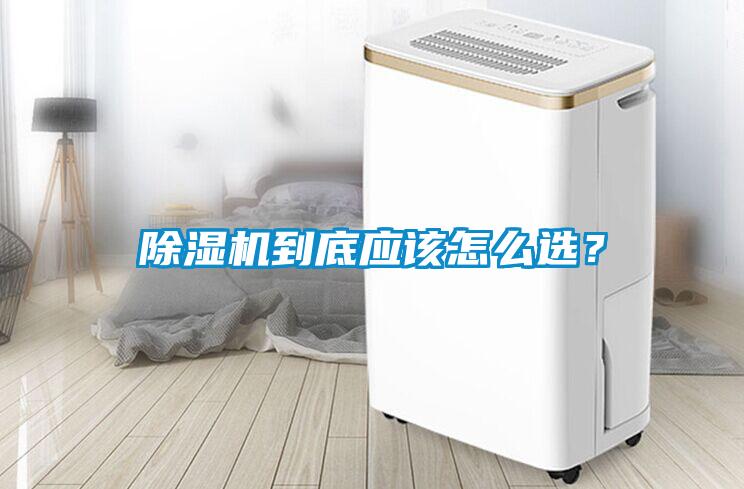 除濕機到底應該怎么選？
