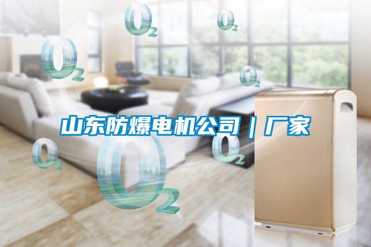 山東防爆電機(jī)公司|廠(chǎng)家