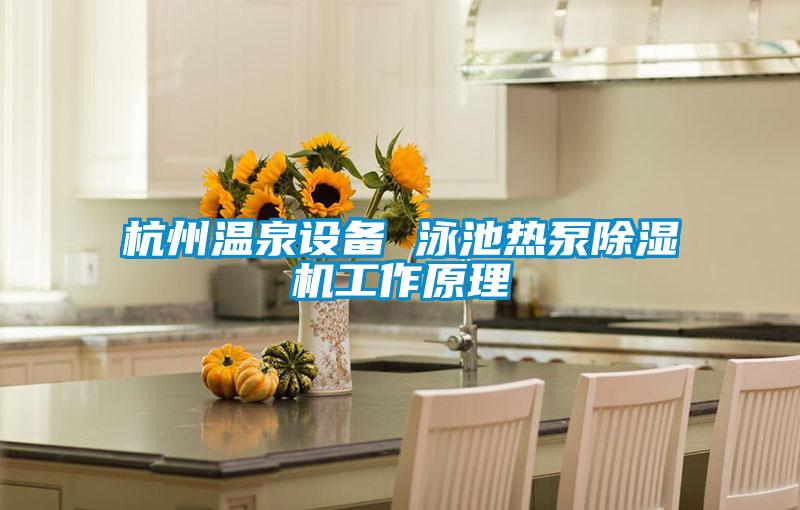 杭州溫泉設(shè)備 泳池?zé)岜贸凉駲C(jī)工作原理