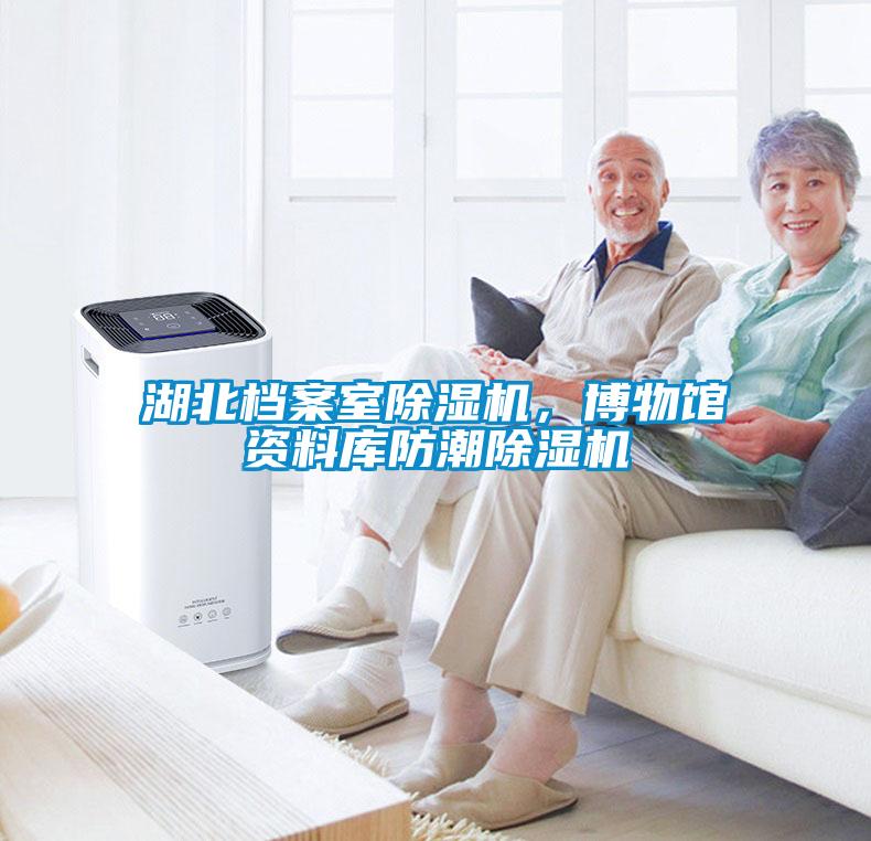 湖北檔案室除濕機,博物館資料庫防潮除濕機