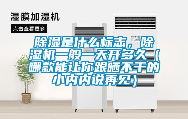 除濕是什么標志,除濕機一般一天開多久(哪款能讓你跟曬不干的小內內說再見)