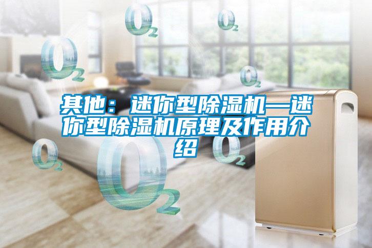 其他:迷你型除濕機—迷你型除濕機原理及作用介紹