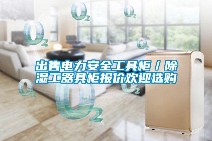 出售電力安全工具柜/除濕工器具柜報價歡迎選購