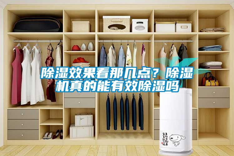 除濕效果看那幾點?除濕機真的能有效除濕嗎