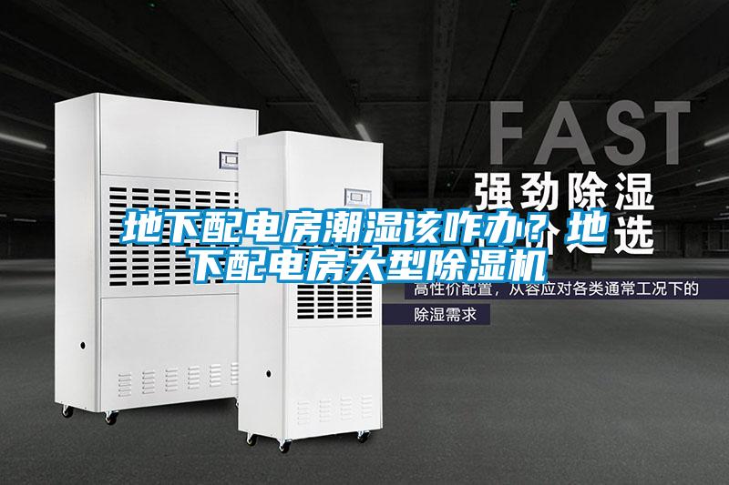地下配電房潮濕該咋辦?地下配電房大型除濕機