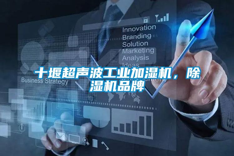 十堰超聲波工業(yè)加濕機(jī),除濕機(jī)品牌