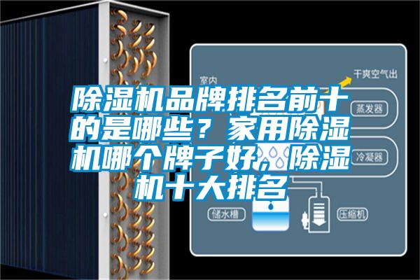 除濕機品牌排名前十的是哪些?家用除濕機哪個牌子好,除濕機十大排名
