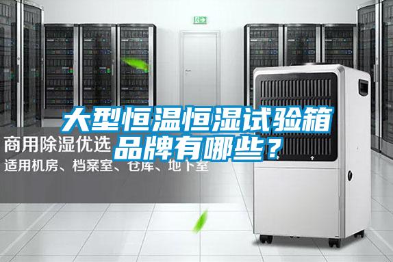 大型恒溫恒濕試驗箱品牌有哪些?
