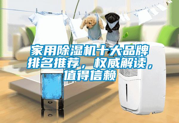 家用除濕機十大品牌排名推薦,權威解讀,值得信賴
