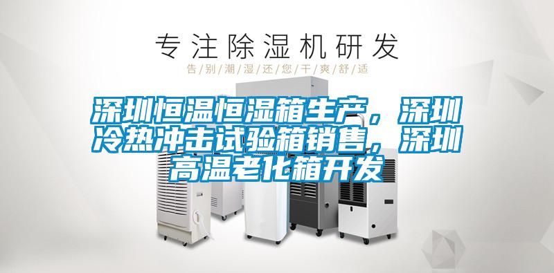 深圳恒溫恒濕箱生產,深圳冷熱沖擊試驗箱銷售,深圳高溫老化箱開發