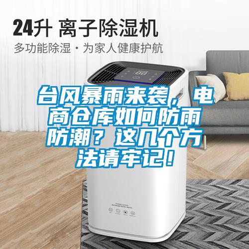 臺風暴雨來襲,電商倉庫如何防雨防潮?這幾個方法請牢記!