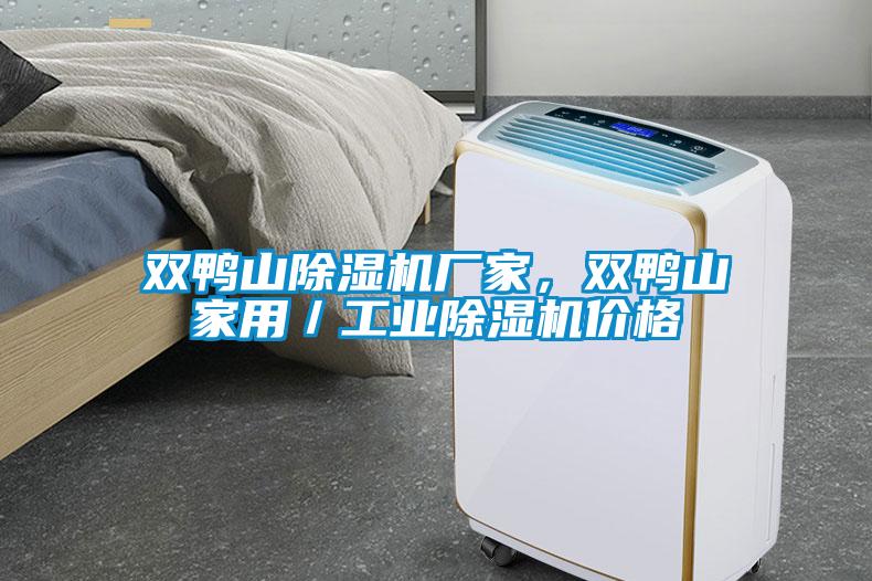 雙鴨山除濕機廠家,雙鴨山家用/工業(yè)除濕機價格