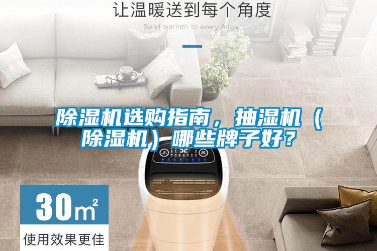 除濕機選購指南,抽濕機(除濕機)哪些牌子好?